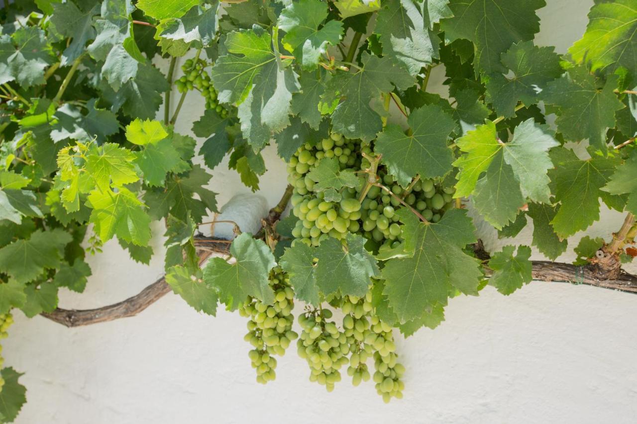 فيلا Masseria Parco Della Grava بيزي دي غريكو المظهر الخارجي الصورة