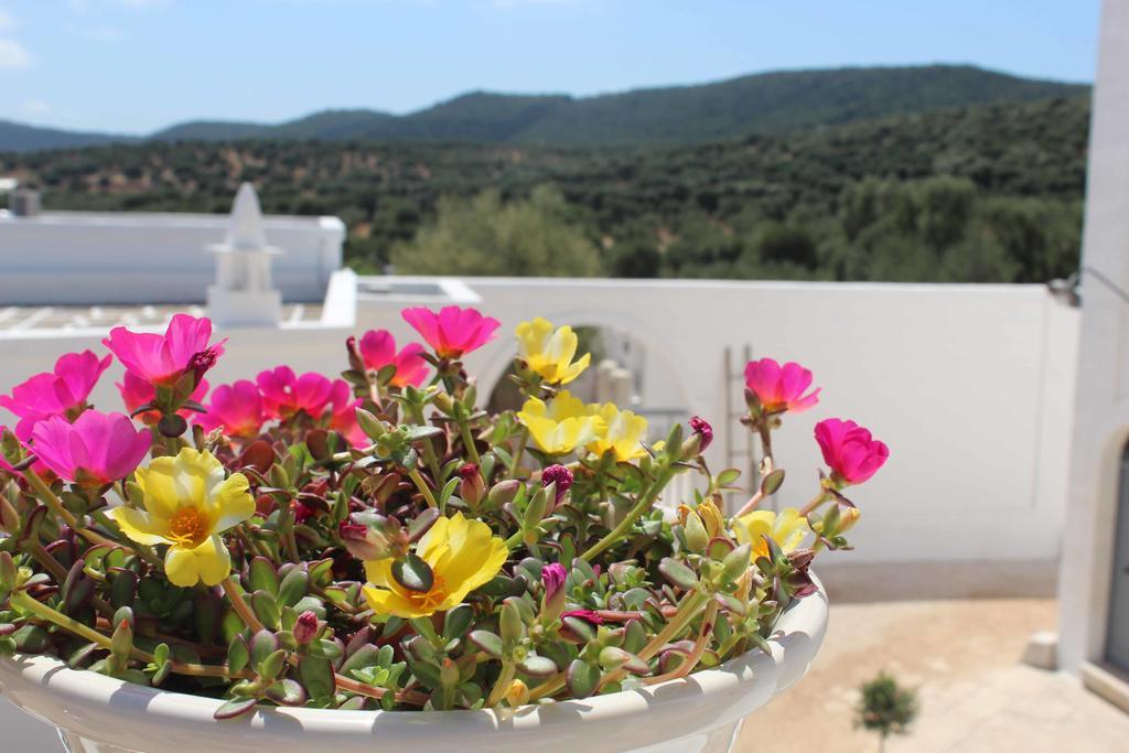 فيلا Masseria Parco Della Grava بيزي دي غريكو المظهر الخارجي الصورة