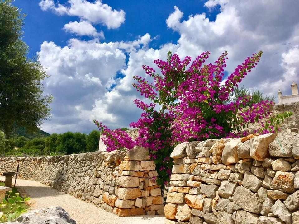 فيلا Masseria Parco Della Grava بيزي دي غريكو المظهر الخارجي الصورة